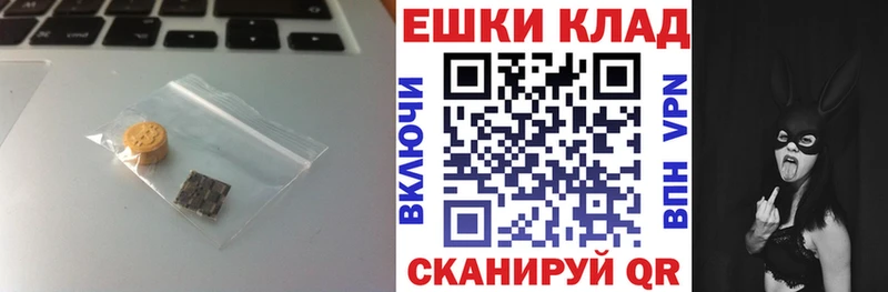 ЭКСТАЗИ диски  Купить закладки  Гусь-Хрустальный 