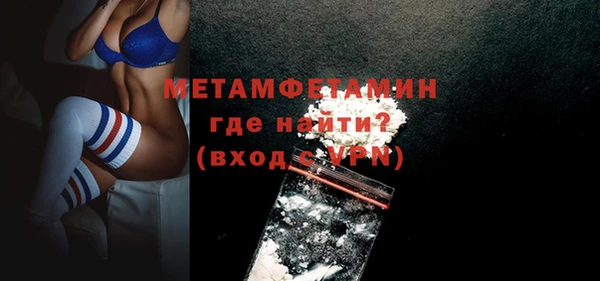 прущие грибы Снежногорск