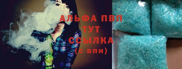 прущие грибы Снежногорск
