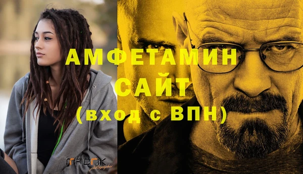 прущие грибы Снежногорск