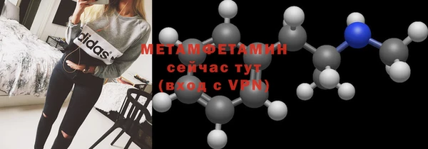 прущие грибы Снежногорск