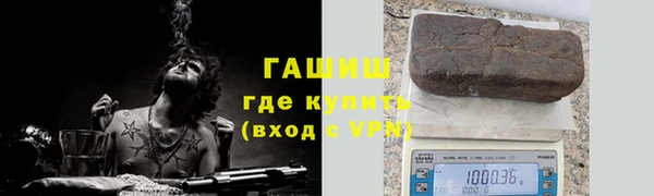 прущие грибы Снежногорск