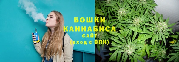мдпв Слюдянка
