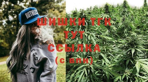мдпв Слюдянка
