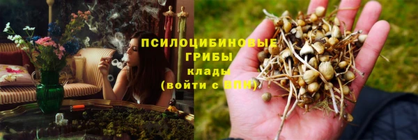 прущие грибы Снежногорск