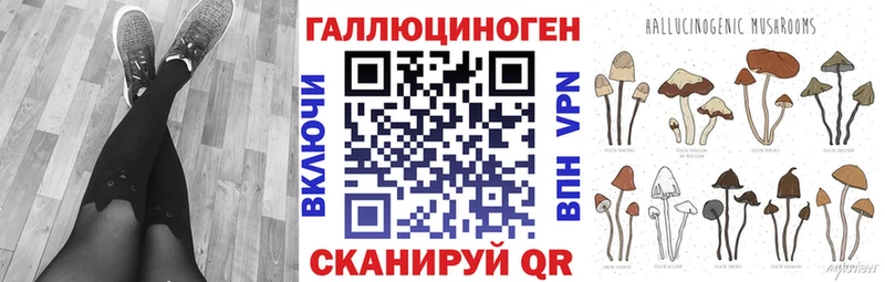 Купить где  Гусь-Хрустальный  Псилоцибиновые грибы прущие грибы 
